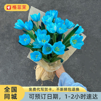 格菲茉蓝色郁金香花束同城配送