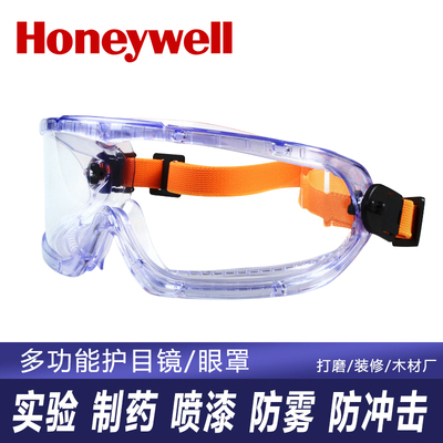 原装进口霍尼韦尔1006193护目镜