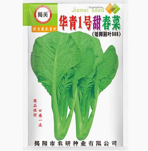 揭美华青1号甜春菜种子 矮脚圆叶耐热芥菜籽 四季蔬菜种子20克装