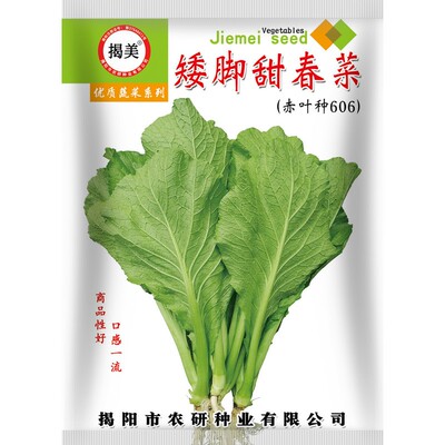 40克矮脚甜春菜种子速生四季