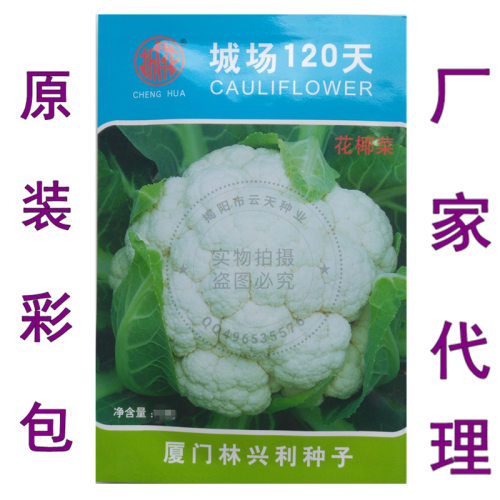 有机白菜花价格 有机白菜花图片 星期三