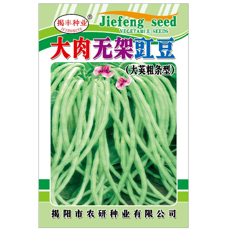 大肉无架豇豆种子 矮生大荚粗条蔬菜种子/种苗