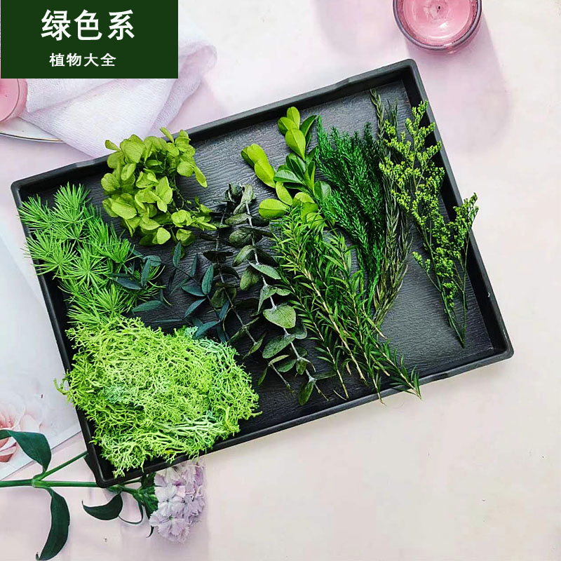 绿色系永生花真花干花diy材料包