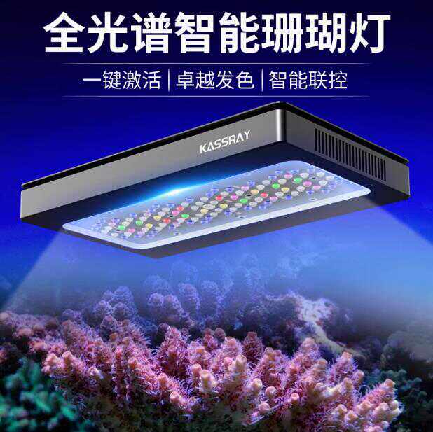 大功率正售海水珊瑚灯KASSRAY图片