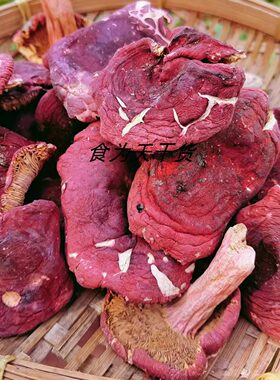 新货野生开伞红菇500g现货正宗福建特产红椎菌干货莆田红蘑菇开伞