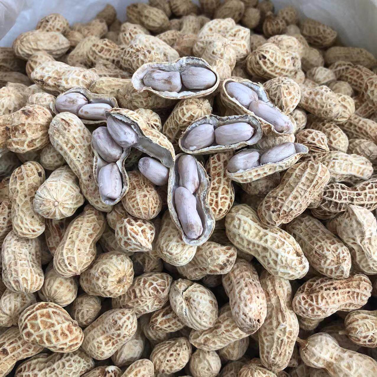 莆田水煮花生九成干独立装1000g