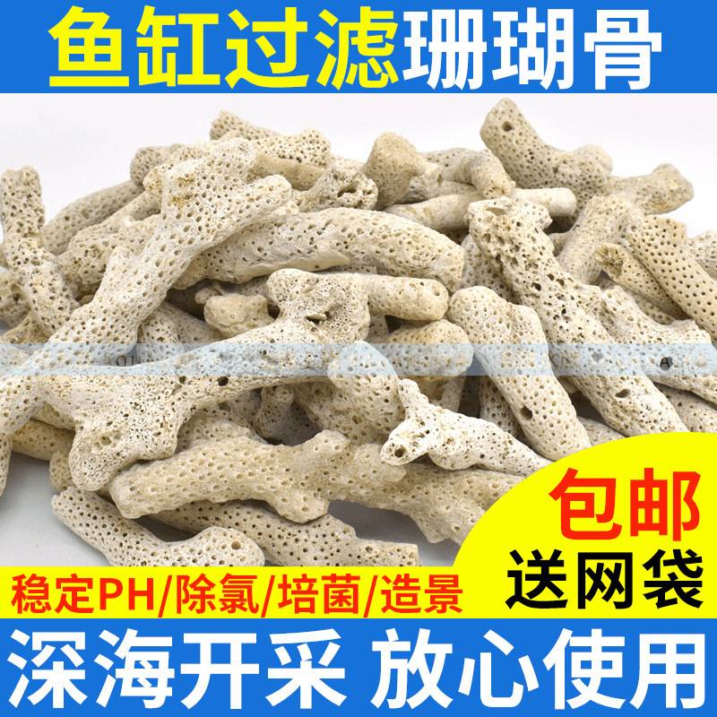 散装西沙珊瑚骨多孔免洗鱼缸培菌图片
