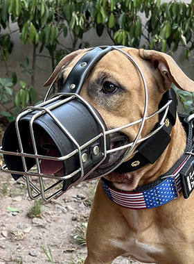 不锈钢防咬大型犬嘴套