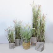 仿真狗尾巴芦苇草仿真花草客厅装 饰电视柜摆件干花假芦苇花落地