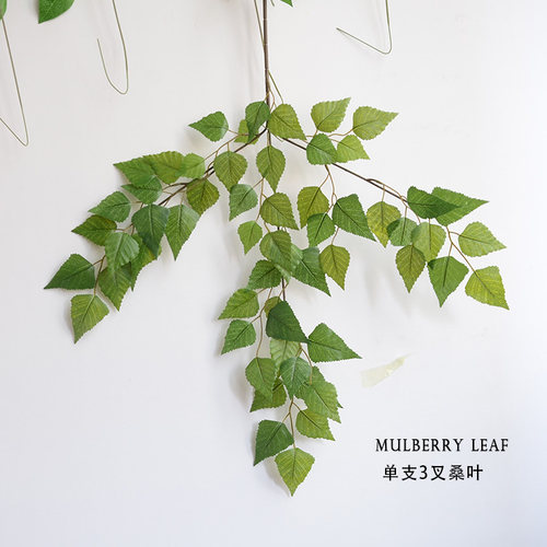 桑叶 榆叶 仿真树叶 仿真花假叶子婚庆道具布景 植物墙拱门叶子 - 封面