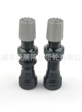 Tubeless Vavle铝合金轻量化精度螺纹真空气嘴无内胎美嘴气门