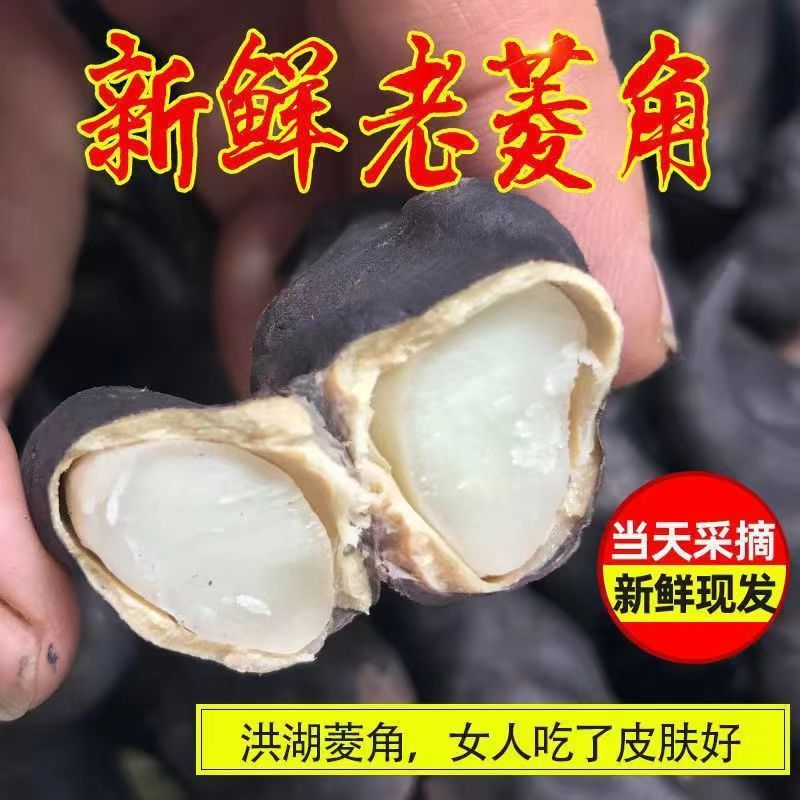 5斤新鲜菱角洪湖老菱角黑棱角棱角生陵角莲角菱角粉糯新鲜菱角