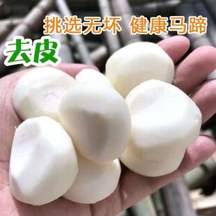 【手工去皮马蹄】真空包装多汁荸荠地梨新鲜果蔬去皮马蹄新鲜