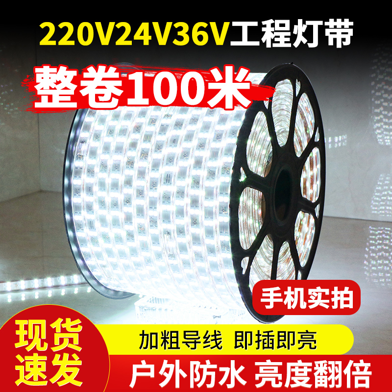 灯带led灯条220V家装吊顶户外养殖照明户外防水工程工地塔吊24V36 家装灯饰光源 室外LED灯带 原图主图