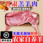 顺丰京东 包邮 绵羊羯羊新鲜羊肉羊排羊腿整羊脖甘肃民勤沙羊送料包