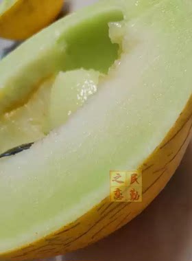 黄河蜜瓜黄皮绿瓤香甜好吃