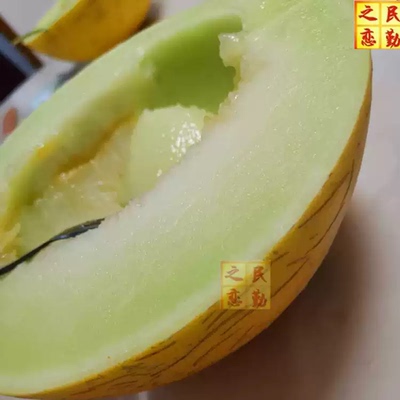 黄河蜜瓜黄皮绿瓤香甜好吃