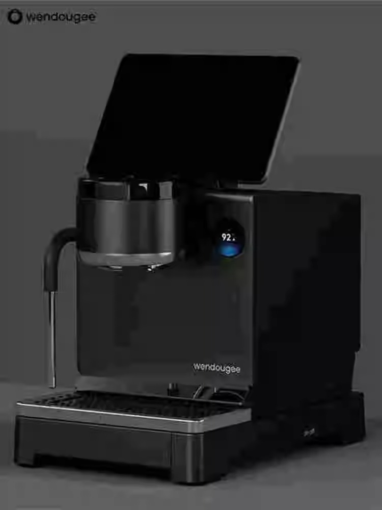 WENDOUGEE / temperature bean season LITA household semi-automatic Italian Coffee machine Double boiler Transformer Electromagnetic pump