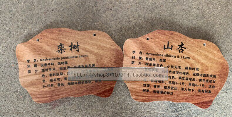 uv雕刻雪弗板树名牌学校展示牌指示牌标语牌标志牌提示公园花草牌