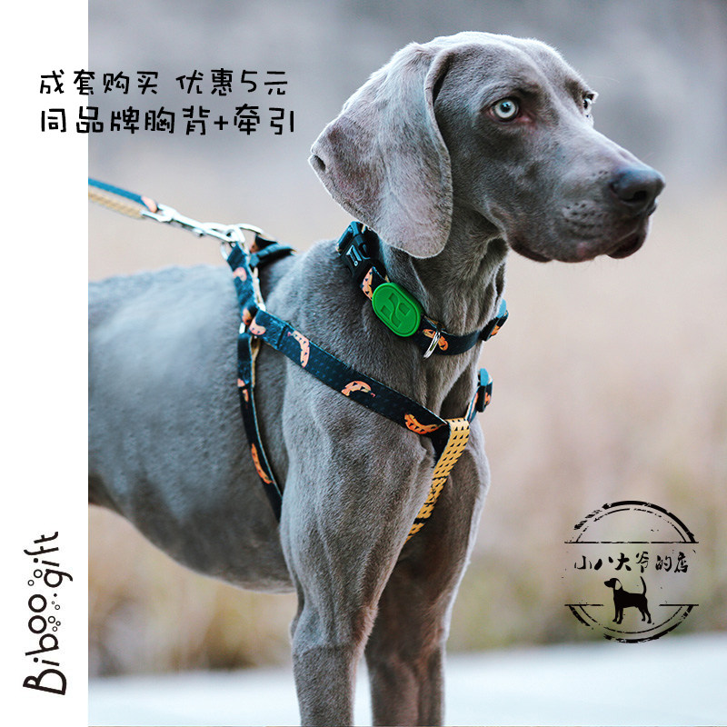 小八商店 HiDREAM缤纷系列胸背带设计师款狗狗背带犬家用牵引带