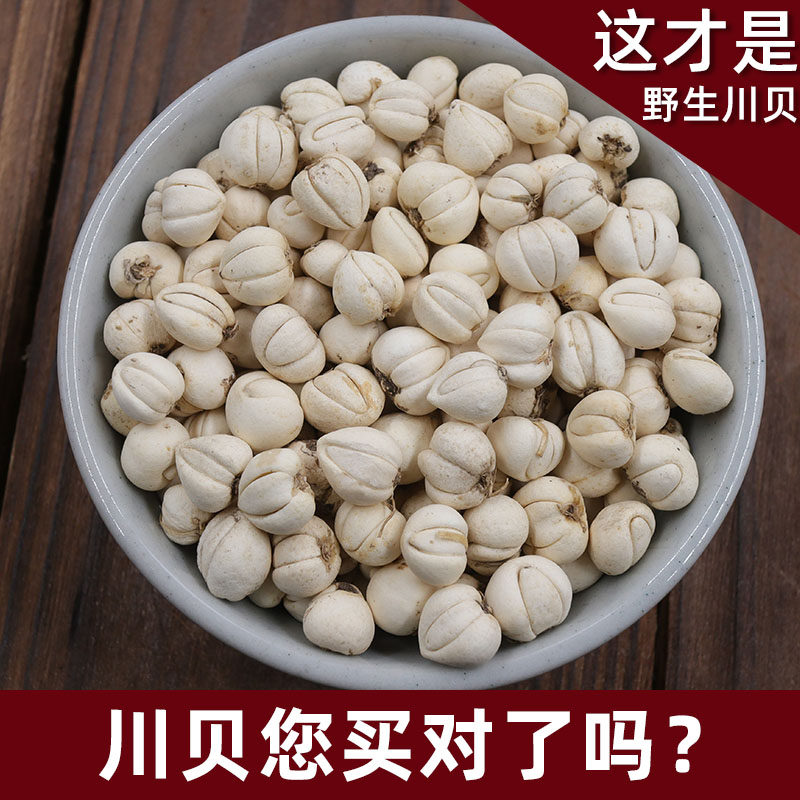 拍下减13！特级无硫磺纯野生川贝母松贝 四川正品川贝母粉中药50g