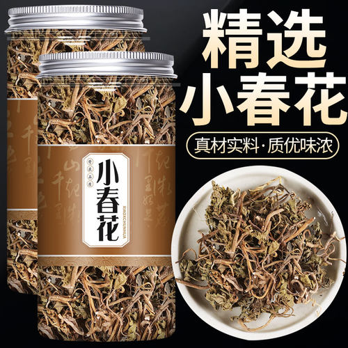 小春花中药材正品蛇不见草阴地蕨一朵云背蛇生新鲜干货可泡水煮水