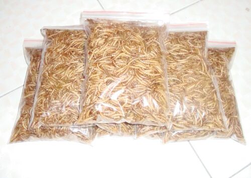 仓鼠用品零食500克面包虫干