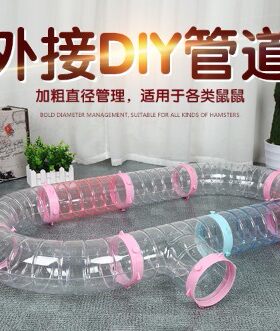 刺猬管道龙猫雪貂松鼠仓