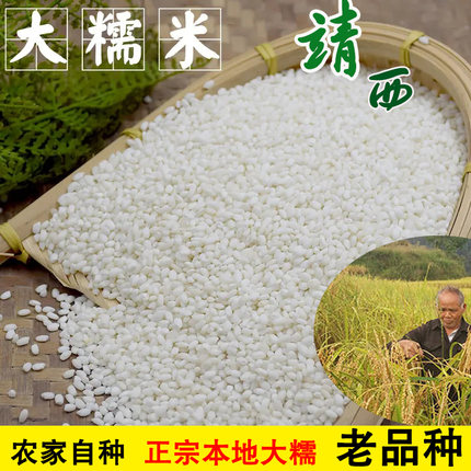 新糯米 正宗靖西大香糯米老品种珍珠糯稻软糯糯米饭包粽子5斤包邮