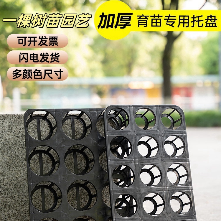 蝴蝶兰专用托盘厂家直销运损包赔图片
