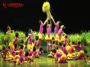 舞台演出服装 田野儿童舞蹈表演服装 道具 第十届小荷风采我们 新款