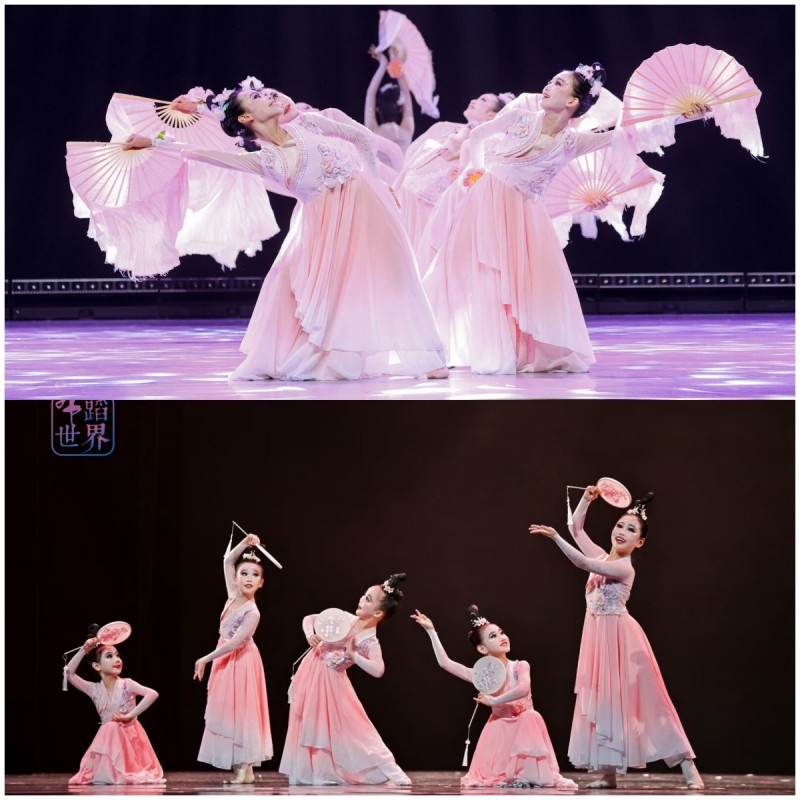 古典舞玉蝶幽香舞蹈服桃花流水服