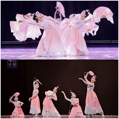古典舞玉蝶幽香舞蹈服桃花流水服