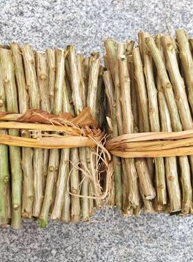 枸杞叶可食用枸杞子枝条构