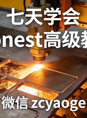 零基础七天学会pronest排版到高级教学 一对一手把手远程教学