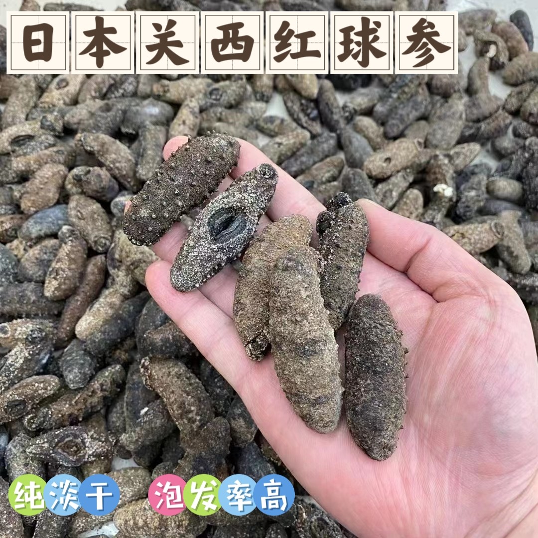 日本关西红球非即食球参纯淡干野生深海海参非大连辽参 20-80头