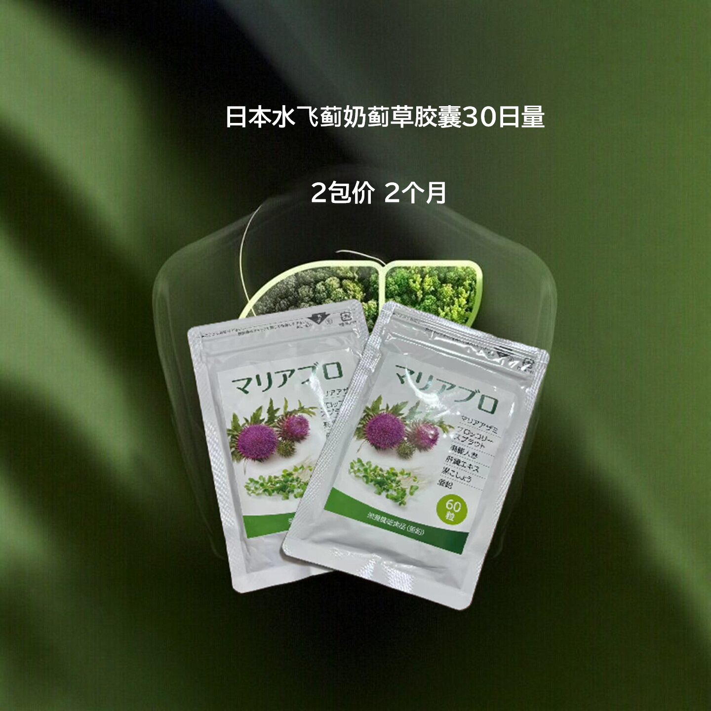 2袋 日本水飞蓟奶蓟草胶囊30日量 乳糖酶上班族疲劳饮酒应酬草木