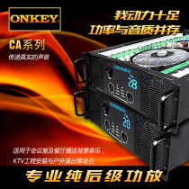 Onkey ca4ca6 CA9 CA12 ca18 CA20 ca28 high power rear stage amplifier stage speaker