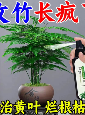 【四季爆芽】文竹专用肥营养液治叶子发黄枯瘦干尖烂根落叶促生长
