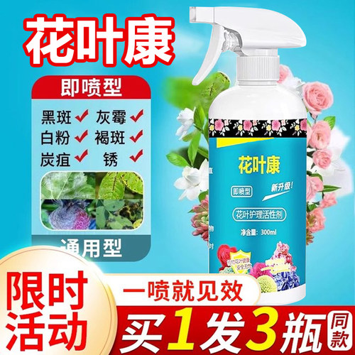 花叶康花叶护理活性剂花卉通用