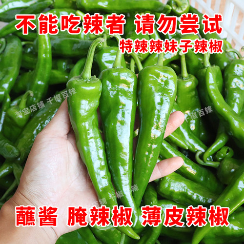 辣妹子辣椒新鲜土辣椒5斤青椒特辣腌咸菜虎皮超辣特别辣剁椒东北3
