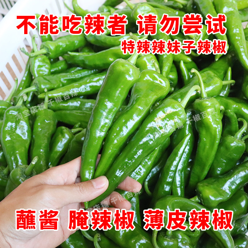 辣妹子辣椒青新鲜薄皮农家自种批发鲜辣椒腌咸菜土尖椒特辣非东北