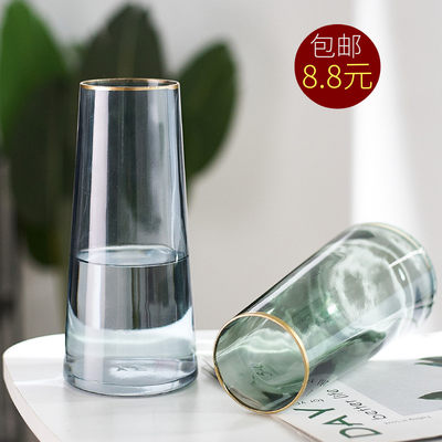 北欧轻奢金口透明玻璃花瓶干花客厅花器摆件装饰水养玫瑰鲜花插花 虎窝淘