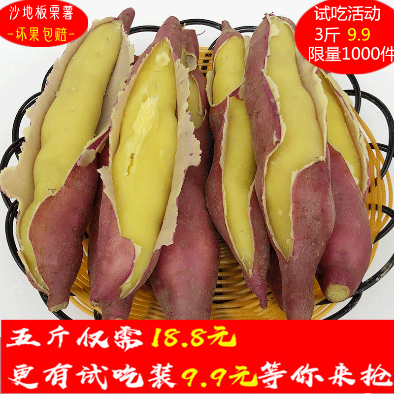 限4000张券板票红薯小香暑香薯地瓜大番薯红苕新鲜红著陕西板栗番薯粉糯香甜