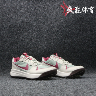 Nike ACG LOWCATE 耐克男子户外登山休闲运动休闲鞋 DX2256-300