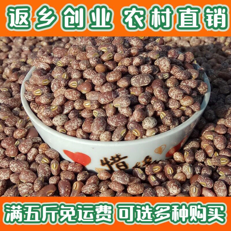 山岭花豇豆麻豇豆小饭豆爬豆新豆 500g 农家自产花纹豆梨豇豆煲粥