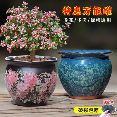 高颜值大口径多肉陶瓷花盆三角梅专用花盆轻奢高级感家用清仓特价