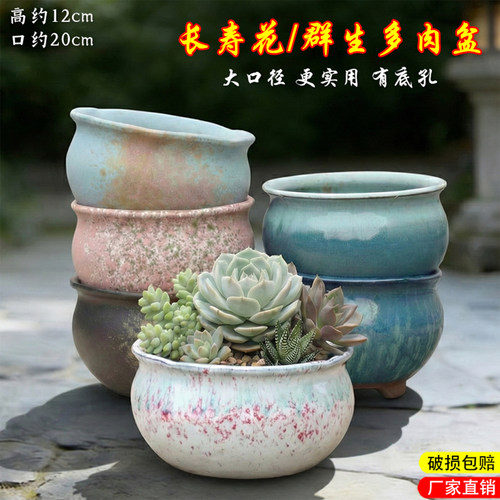 实用大口径花盆陶瓷清仓特价室内群生多肉陶土花盆轻奢高级感家用