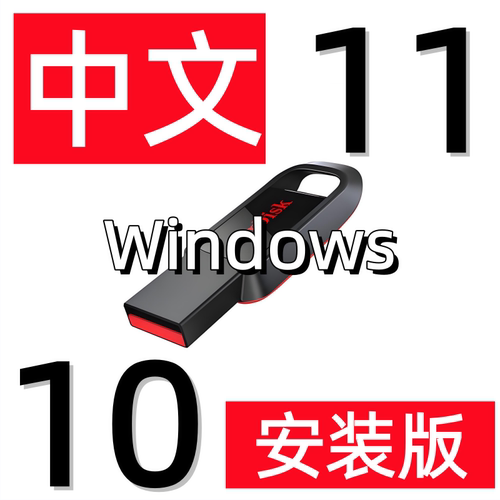 中文电脑重装系统Win11 Win10纯净升级iso镜像映像安装版u盘优盘