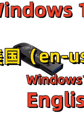 Word英语Excel PS CAD英文Windows 11系统安装版U盘Win 10 Office